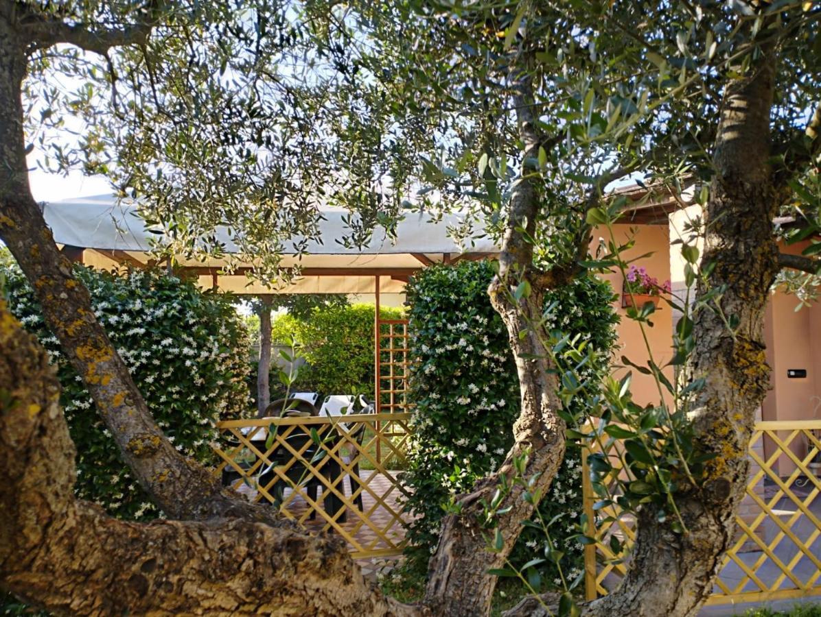 Melody House - Dependance Villa Castel del Bosco  ภายนอก รูปภาพ