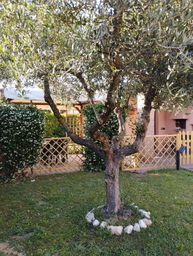 Melody House - Dependance Villa Castel del Bosco  ภายนอก รูปภาพ