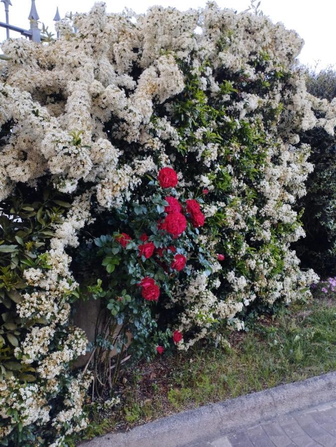 Melody House - Dependance Villa Castel del Bosco  ภายนอก รูปภาพ